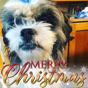 Meet your Posher, Jozy corkum